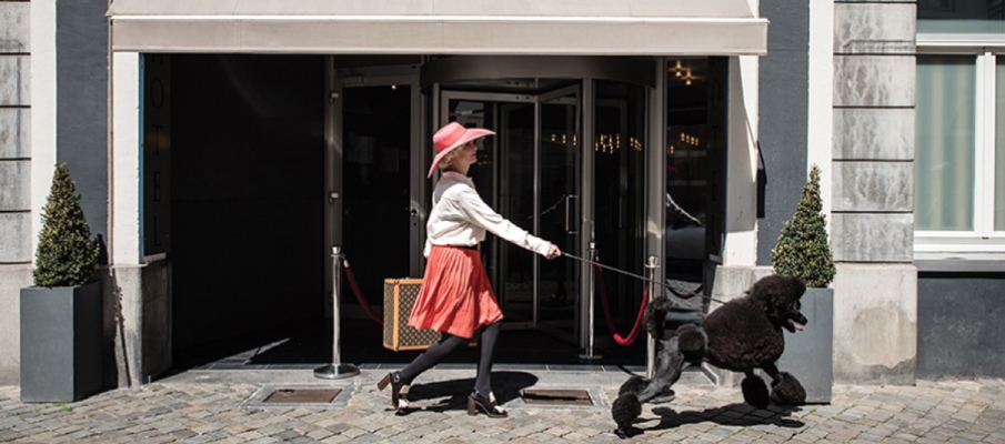 How to Become a Pet Friendly Hotel XOTELS