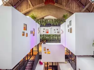 Proyecto Hotelero & Desarollo de Concepto - Xotels